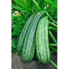  Кабачок ЗЕБРА (20 г)